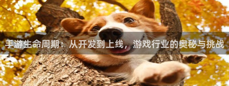 pc长运娱乐官网苹果下载：手游生命周期：从开发到上线，游戏行