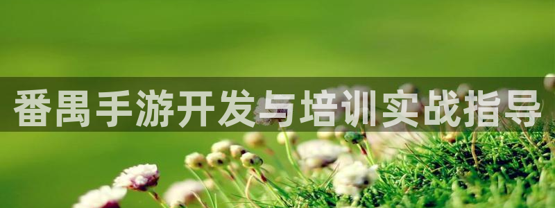 长运娱乐官网预测：番禺手游开发与培训实战指导