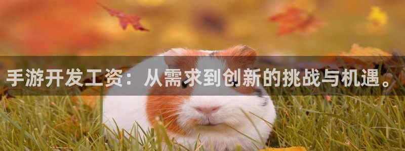 长运娱乐官网手机版：手游开发工资：从需求到创新的挑战与机遇。