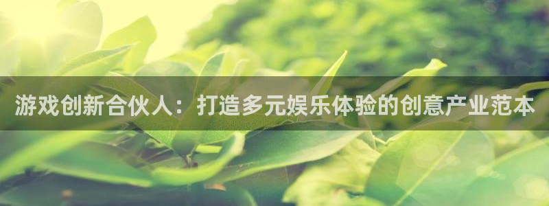 长运娱乐官网2018版：游戏创新合伙人：打造多元娱乐体验的创