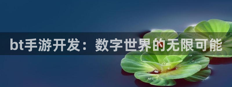 长运娱乐官网开奖结果查询：bt手游开发：数字世界的无限可能