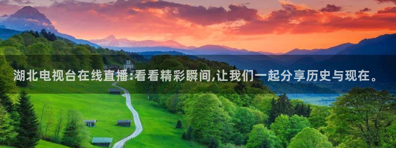 919直播看球app
