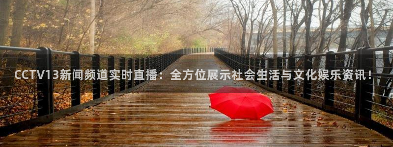 919足球直播：CCTV13新闻频道实时直播：全方位展示社会生活与文化娱乐资讯！
