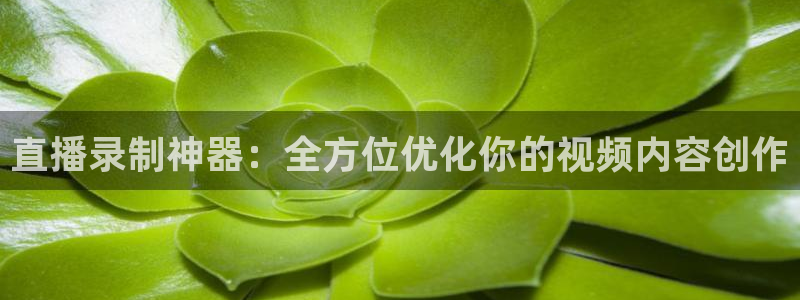 919直播间现场直播