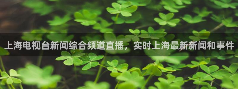 919直播官网