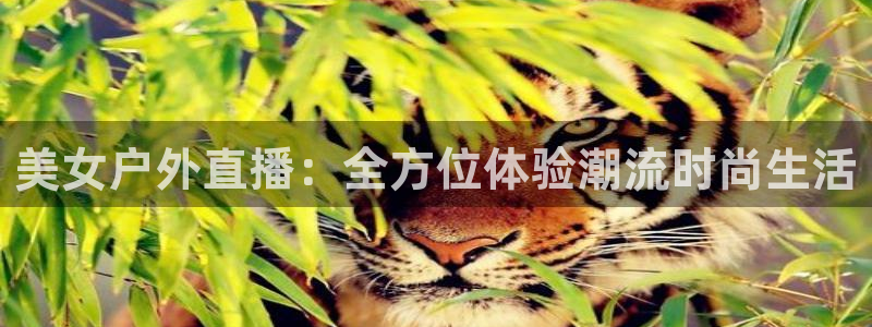 919体育直播安卓版