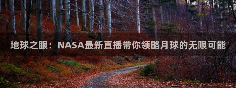 919直播间现场直播：地球之眼：NASA最新直播带你领略月球的无限可能