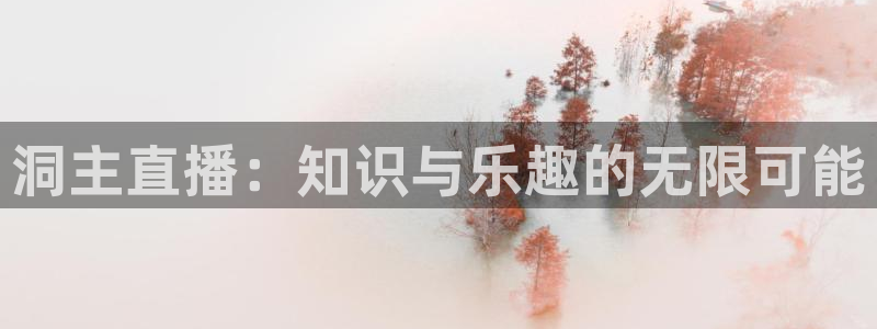 919看球直播官网入口