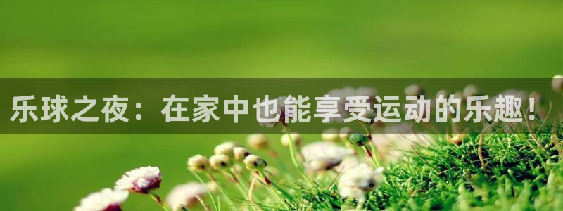 919体育：乐球之夜：在家中也能享受运动的乐趣！
