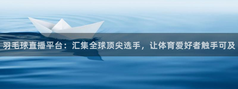 919直播看球app