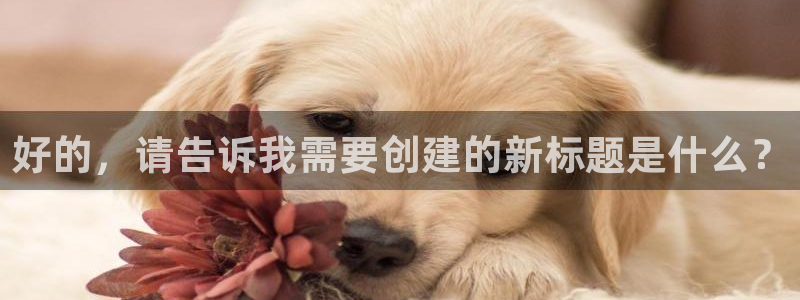 919直播看球在线观看：好的，请告诉我需要创建的新标题是什么？