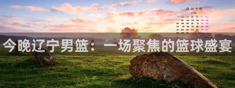 919体育直播下载：今晚辽宁男篮：一场聚焦的篮球盛宴