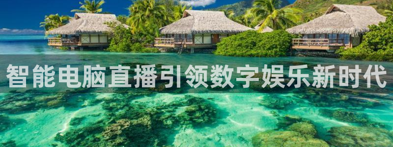 919直播间现场直播：智能电脑直播引领数字娱乐新时代