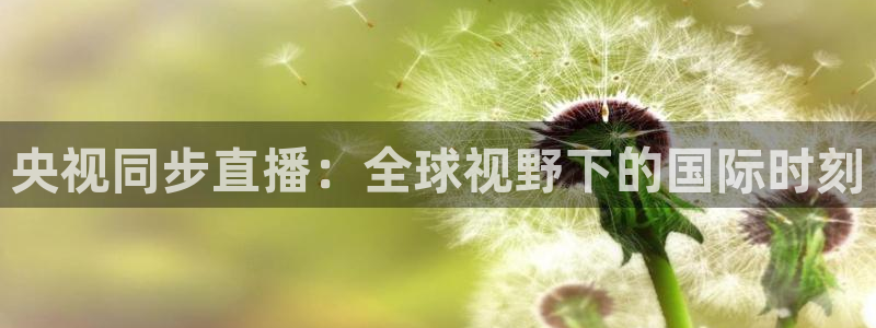 919体育直播平台在线观看：央视同步直播：全球视野下的国际时刻