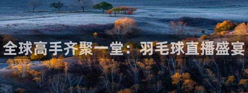 919直播间：全球高手齐聚一堂：羽毛球直播盛宴